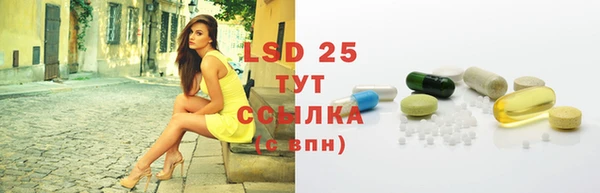 индика Волосово