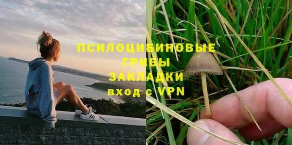 индика Волосово