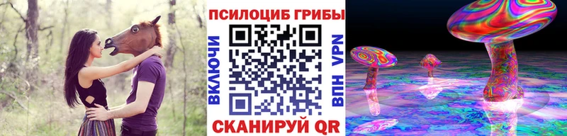 закладки  Снежинск  Псилоцибиновые грибы Psilocybe 